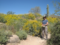 Ginny in the Brittlebush